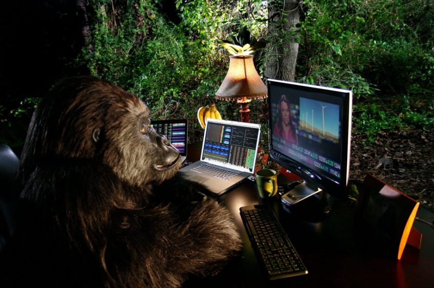 Gorilla Trades Stock Picking Portfolio