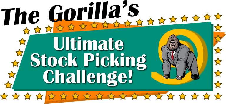 stock-challenge-logox2