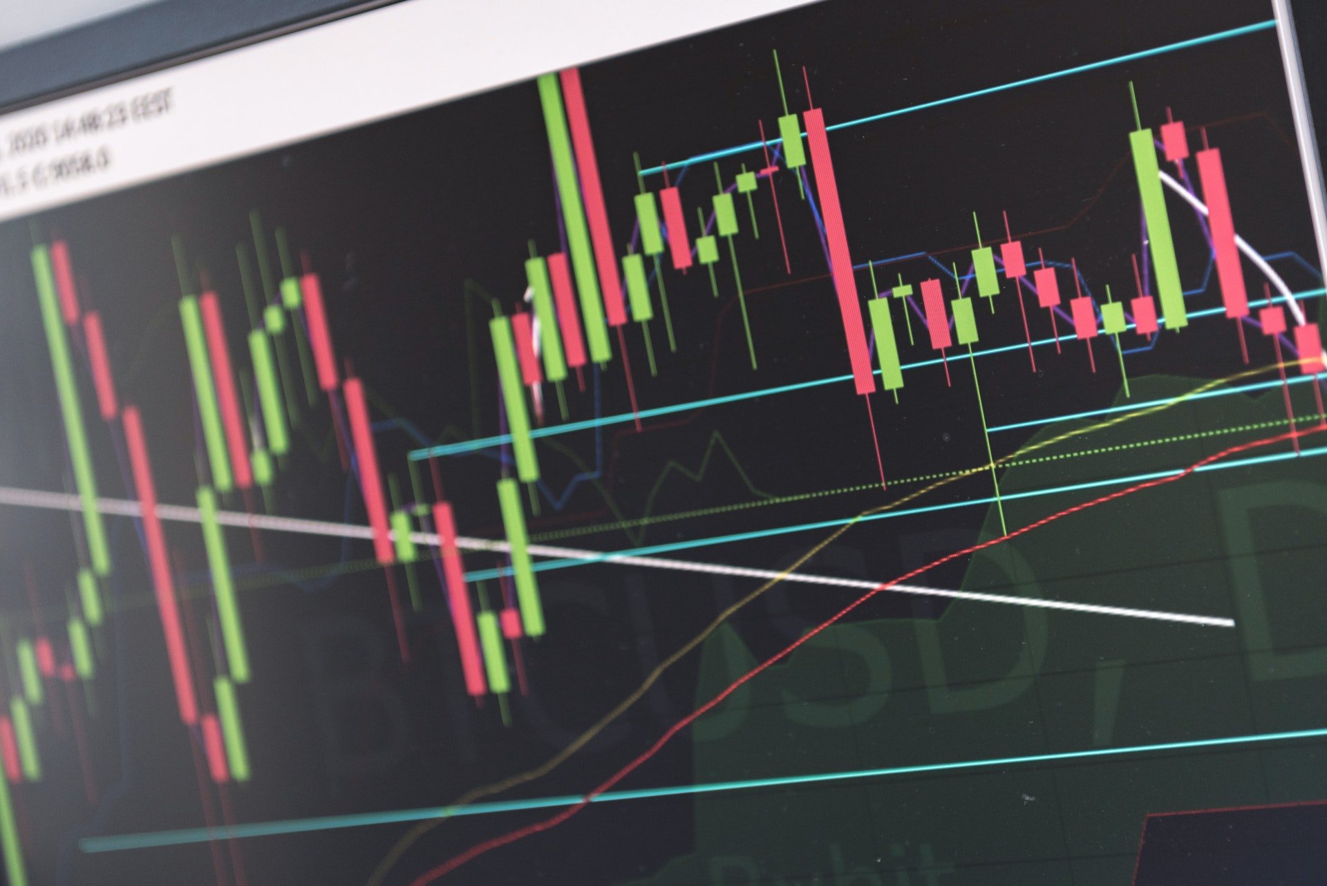 choosing growth and value stocks