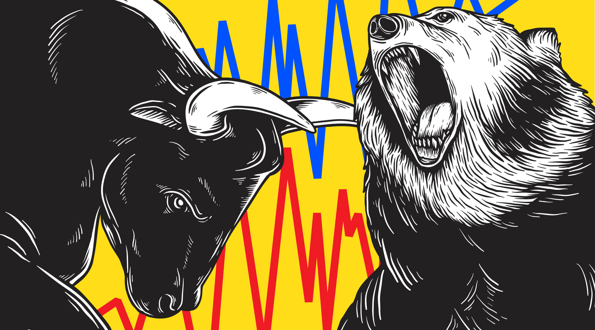 bull and bear market