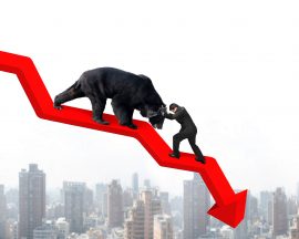 bear-market bear-market