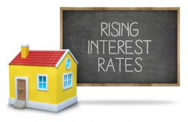 interest interest
